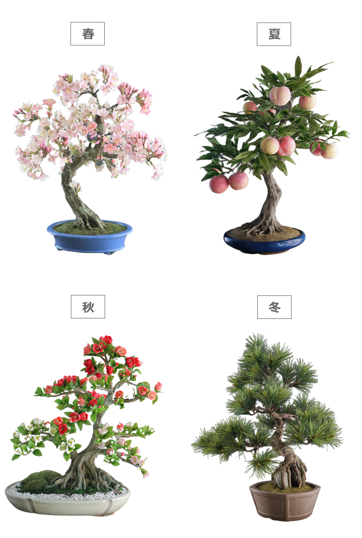 リースサービス アート盆栽 レンタル 季節 シーズン