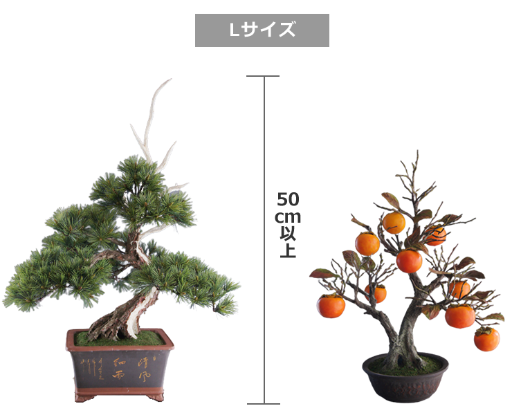 リースサービス アート盆栽 レンタル サイズ