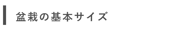 リースサービス 盆栽 定期便 アート盆栽 レンタル サイズ