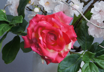 アーティフィシャルフラワー　Akanbi　造花 展覧会　寺井宏華