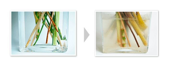 アーティフィシャルフラワー アートフラワー専門店 観葉植物