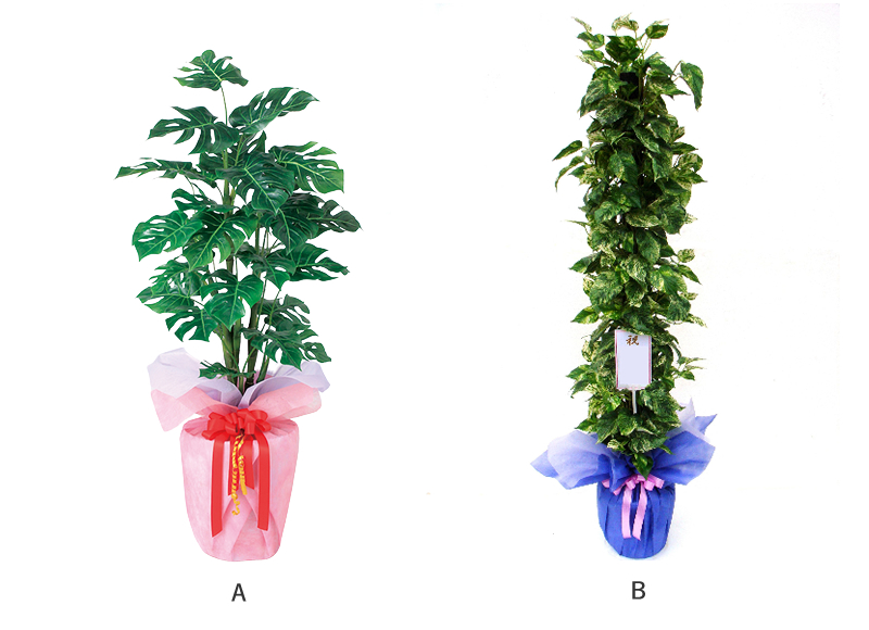 アートフラワー　人工観葉植物　ラッピング　ギフト