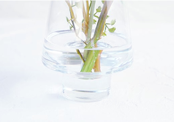 アーティフィシャルフラワー　Akanbi　造花 お客様の声　アートフラワー専門店