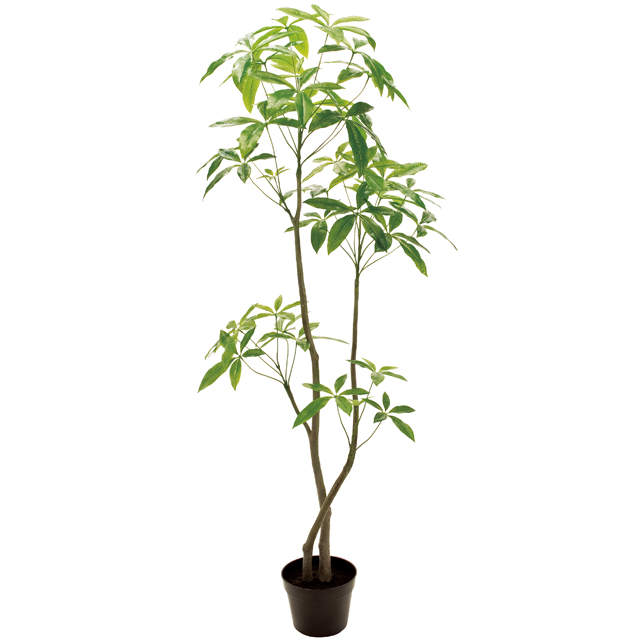 パキラ H180 造花 アートフラワー Akanbi