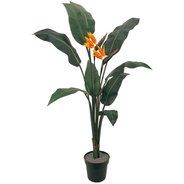 バードオブパラダイス　H160（触媒加工） 造花 アートフラワー Akanbi
