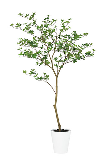 ドウダンツツジ FST　H160 造花 アートフラワー Akanbi