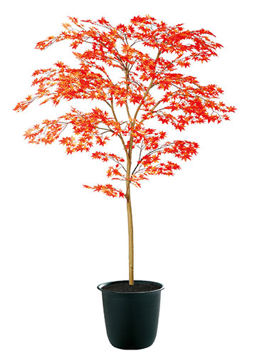 ヤマモミジ RED FST　H150 造花 アートフラワー Akanbi
