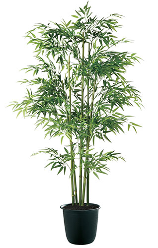 青竹5本立　H180（触媒加工） 造花 アートフラワー Akanbi