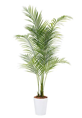 アレカヤシ PE　H180 造花 アートフラワー Akanbi