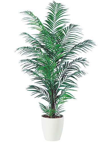 アレカヤシ　H180（触媒加工） 造花 アートフラワー Akanbi