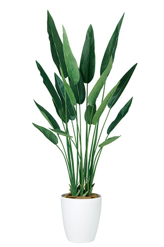 ストレリチア・レギネ　H130 造花 アートフラワー Akanbi