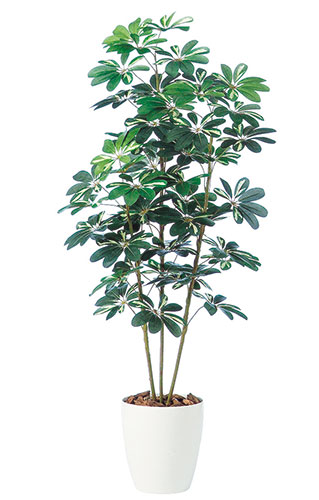 シェフレラ　H150 造花 アートフラワー Akanbi