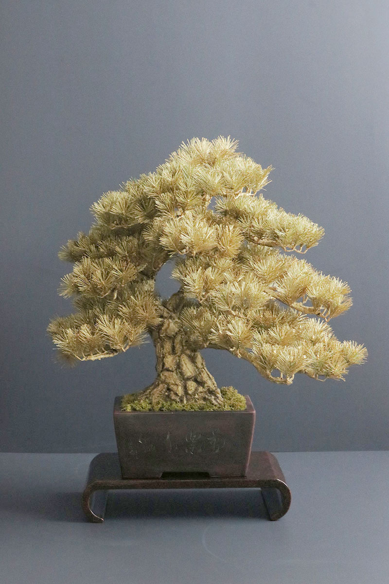 盆栽 黄金松  #155 造花 アートフラワー Akanbi